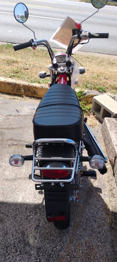 125cc Ice Bear Champion