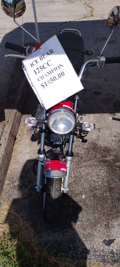 125cc Ice Bear Champion