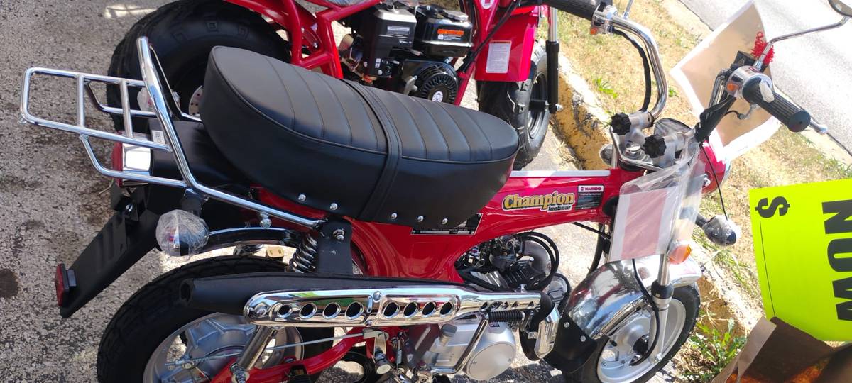 125cc Ice Bear Champion