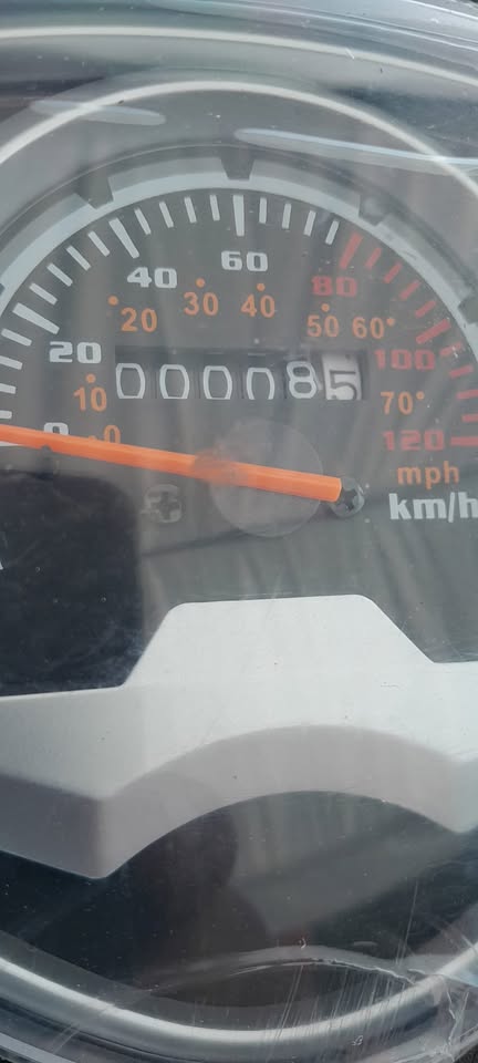 150cc Icebear Trike Christmas Special