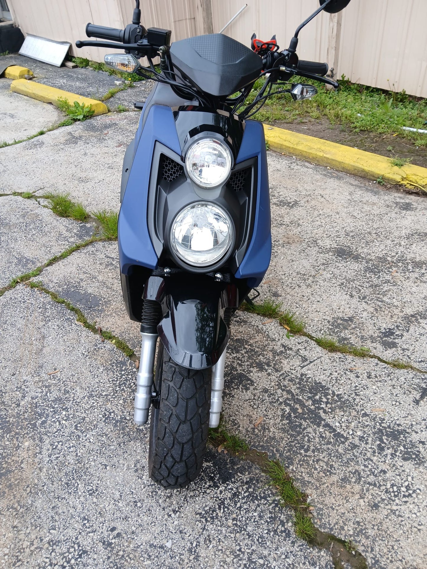 150cc Icebear Vision Christmas Special