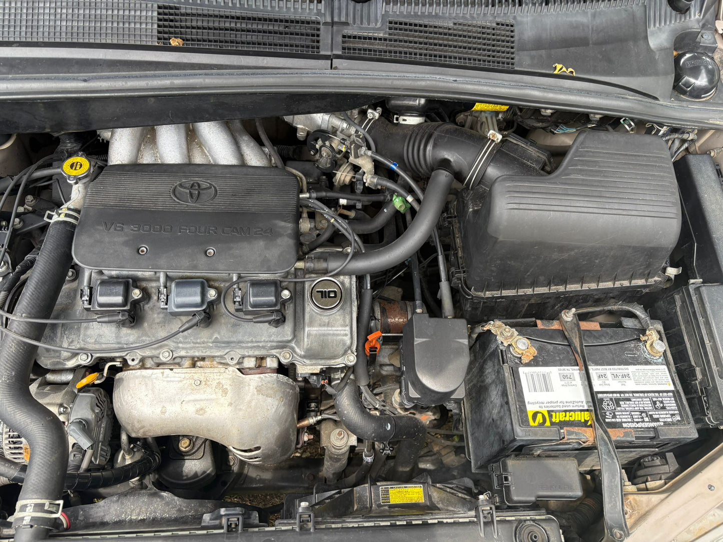 2000 Toyota Sienna LE Christmas Special