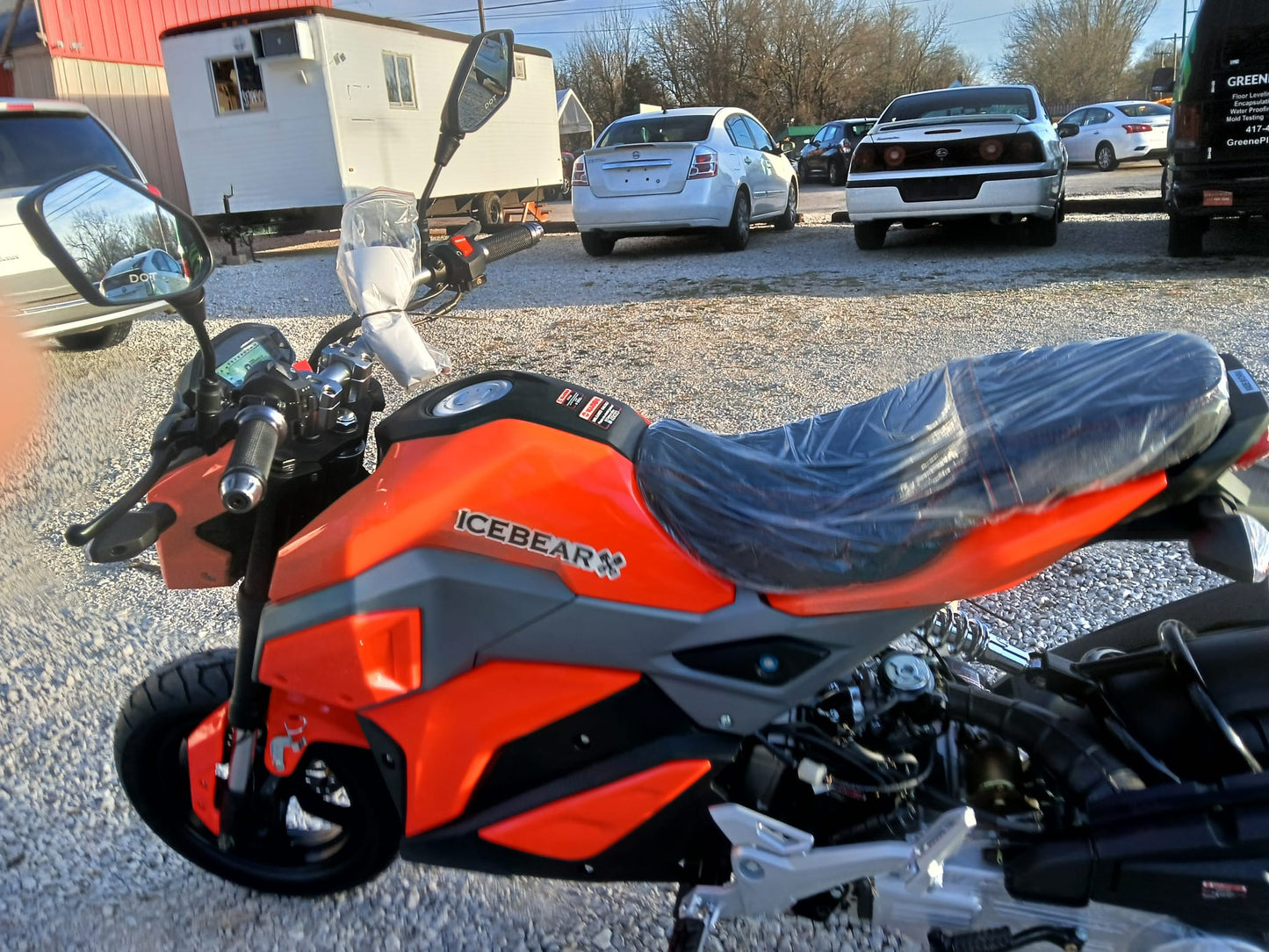 150cc Icebear Mini Max Christmas Special