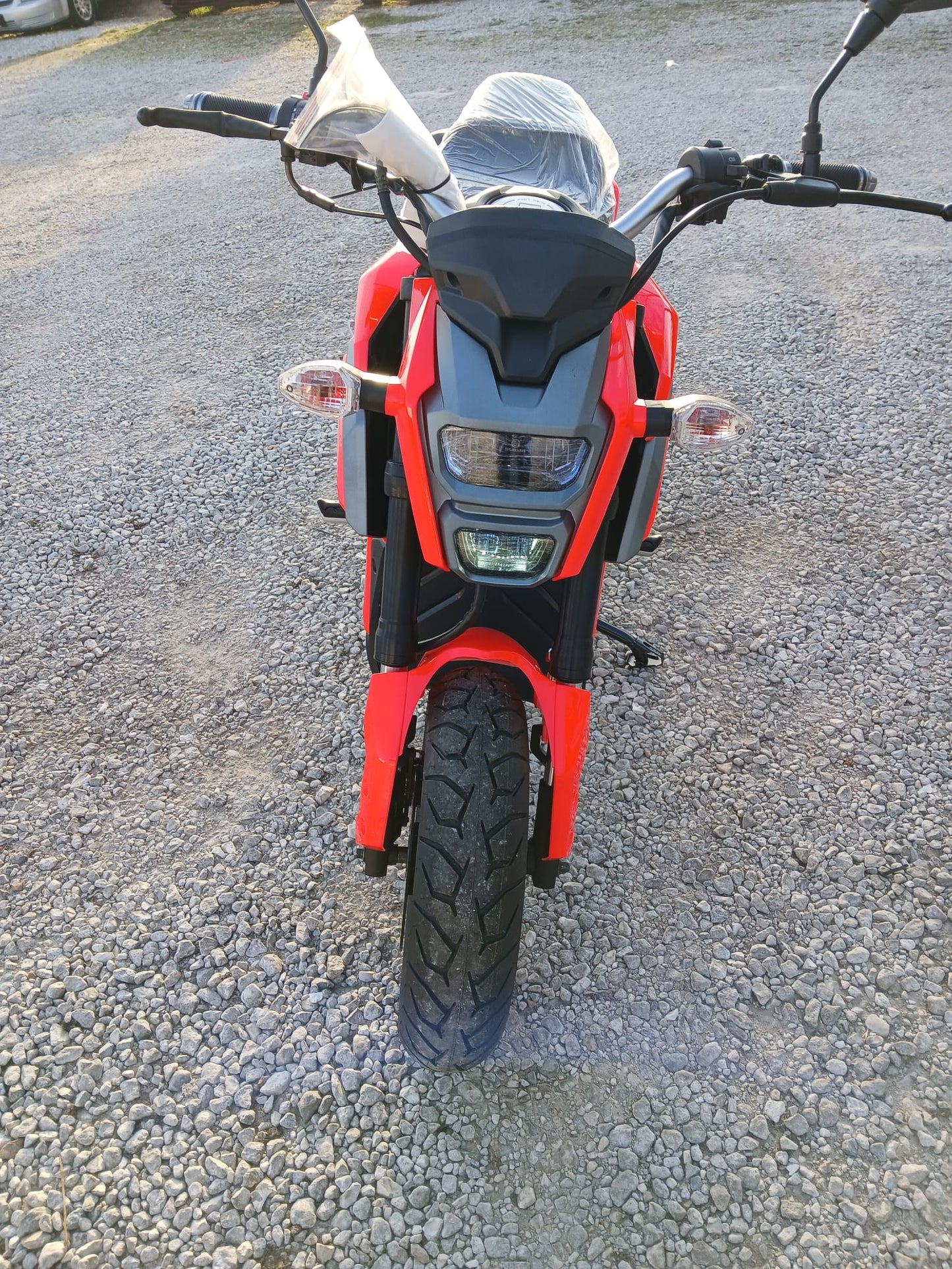 150cc Icebear Mini Max Christmas Special